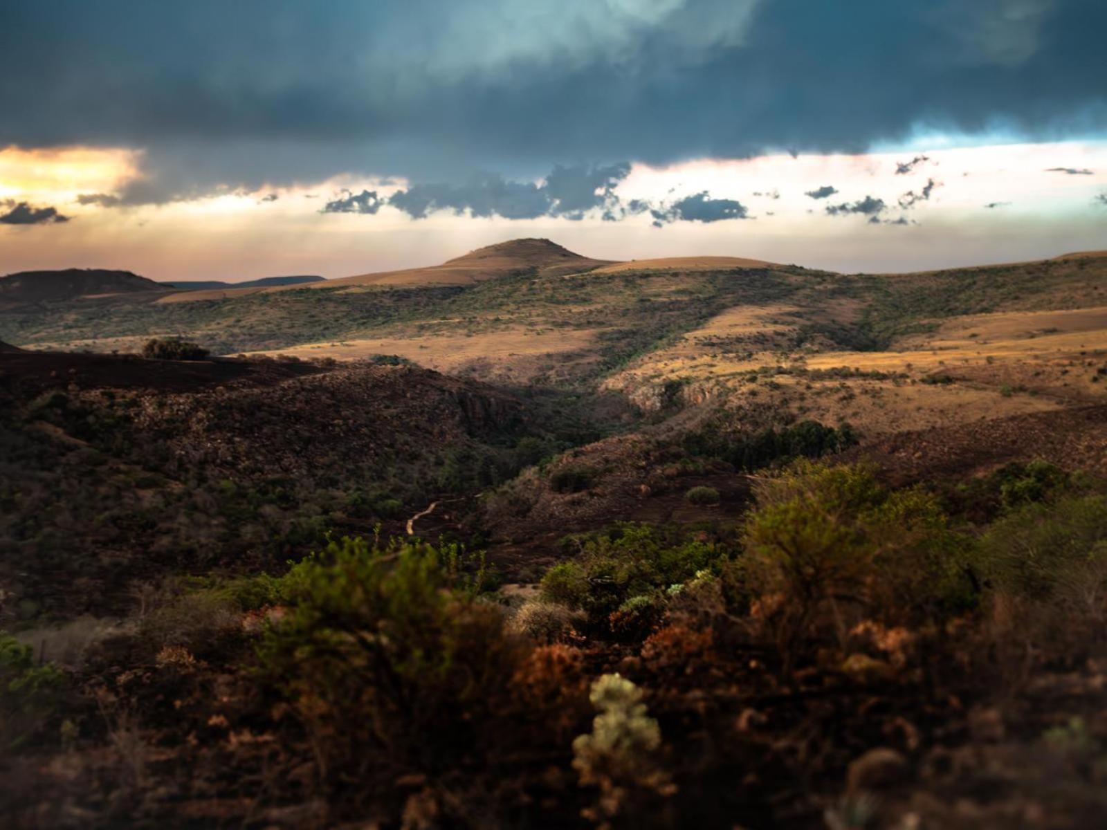 Riverbed Africa Lydenburg Værelse billede