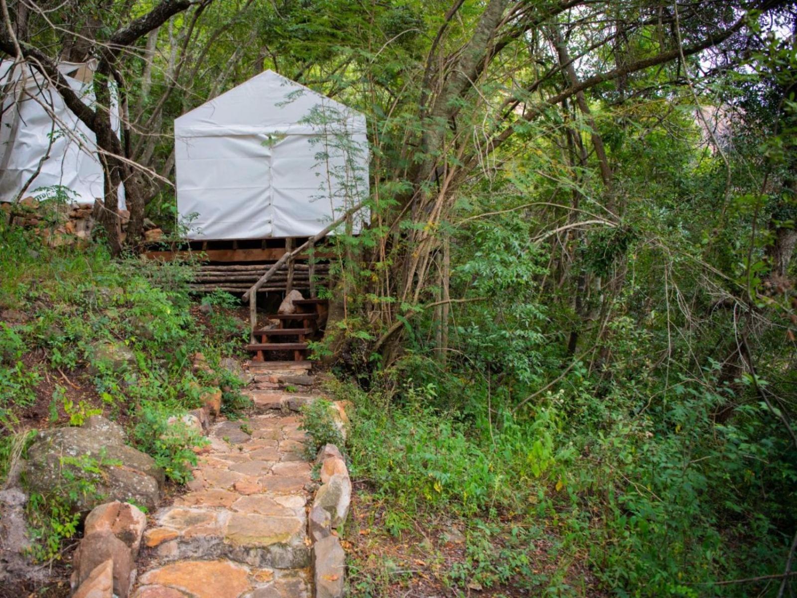 Riverbed Africa Lydenburg Eksteriør billede